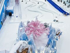 -湘江欢乐城欢乐雪域