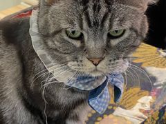 -平行世界·猫咖(首经贸店)