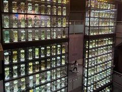 -广东中医药博物馆