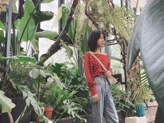 -北马山庄植趣咖啡