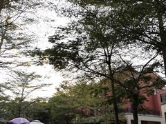 -灵玲国际马戏城