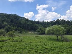 -大水川景区