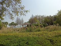 -厦门园林博览苑