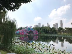 -映月湖公园