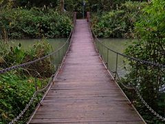 -桤木河湿地公园