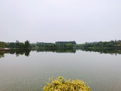 -东郊湿地公园