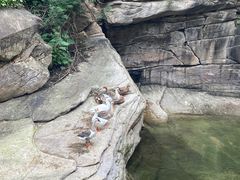 -黑龙潭风景区