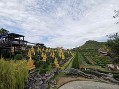-东芭乐园