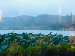 -湖畔居茶楼(湖滨店)