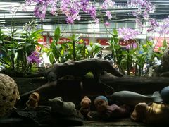 -自然餐厅(Phuket)