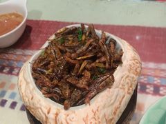-慢丽江·云南野生菌土鸡锅(付家庄店)