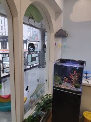 -星童star.kids儿童发型设计·满月胎发(玉兰花园店)