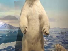 -陕西自然博物馆