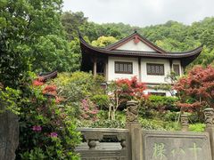 -十八棵（老龙井）御茶园(老龙井店)