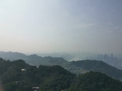 -大金鹰园