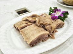 -鹅城