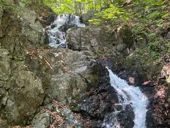 -本溪汤沟绿石谷森林公园