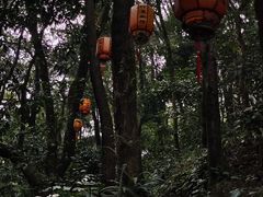 -广州市白云山风景名胜区