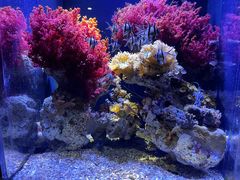 -郑州海洋馆