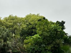 -杭州植物园