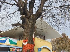 -欢乐水魔方水世界
