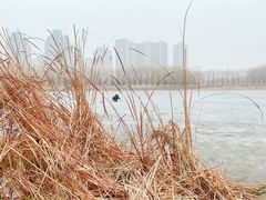 -东坝千亩湖公园