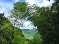 -藏龙百瀑风景区