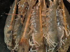 -翡翠小城·海鲜豆捞·广式点心(老佛爷店)
