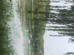 -WhaleSports户外水上运动俱乐部(朝阳公园店)