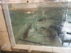 -鱼醉无骨鱼·中山脆肉鲩(荔湾路店)