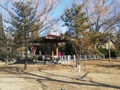 -元大都城垣遗址公园