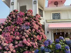 -Blue Concept Cafe&Farm·關於藍