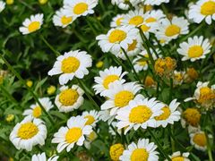 -山东省千佛山医院