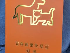 -瑞派长江宠物医院·猫科·外科·24小时夜护(谊城公寓分院)