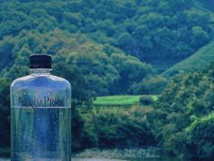 -龙坞茶村