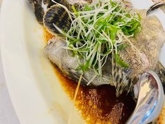 石斑鱼-顺峰(农展馆店)