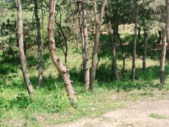 -玉渡山自然风景区