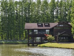 -黄海国家森林公园