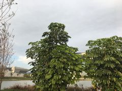 -琅岐红光湖公园