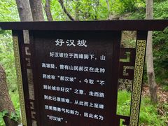 -雾灵西峰