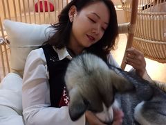 -Husky Go! 哈士奇体验馆·宠物咖啡厅狗咖
