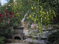 -鸡鸣山旅游风景区