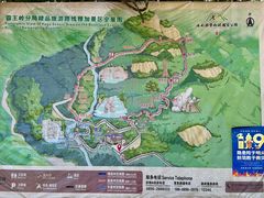 -霸王岭国家森林公园