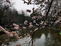 -宣武艺园