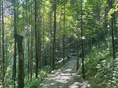 -凤栖山