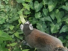 -上方山森林动物世界