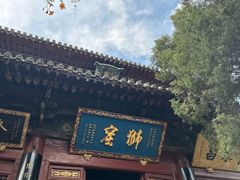 -洛阳白马寺