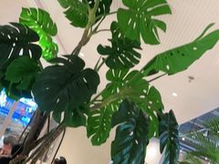 -卡朋西餐(悦汇城店)