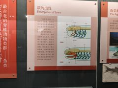 -大连自然博物馆