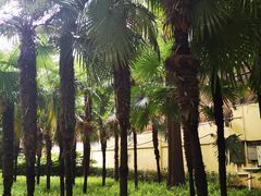 -徐家汇源景区-衡山公园